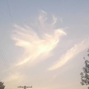 Meet your Posher, Edith